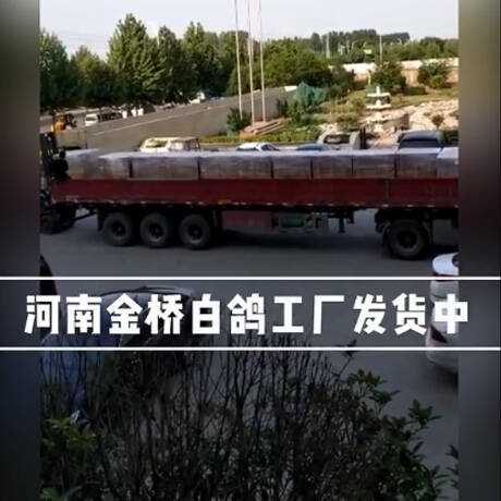工廠發(fā)貨中